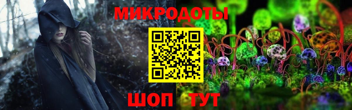 Псилоцибиновые грибы прущие грибы Киров